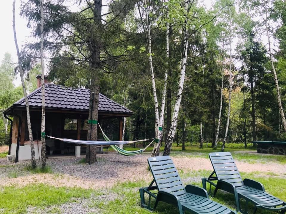 Cabana Din Padurea Belis Si Casuta Din Copac Cluj-Napoca Exterior photo